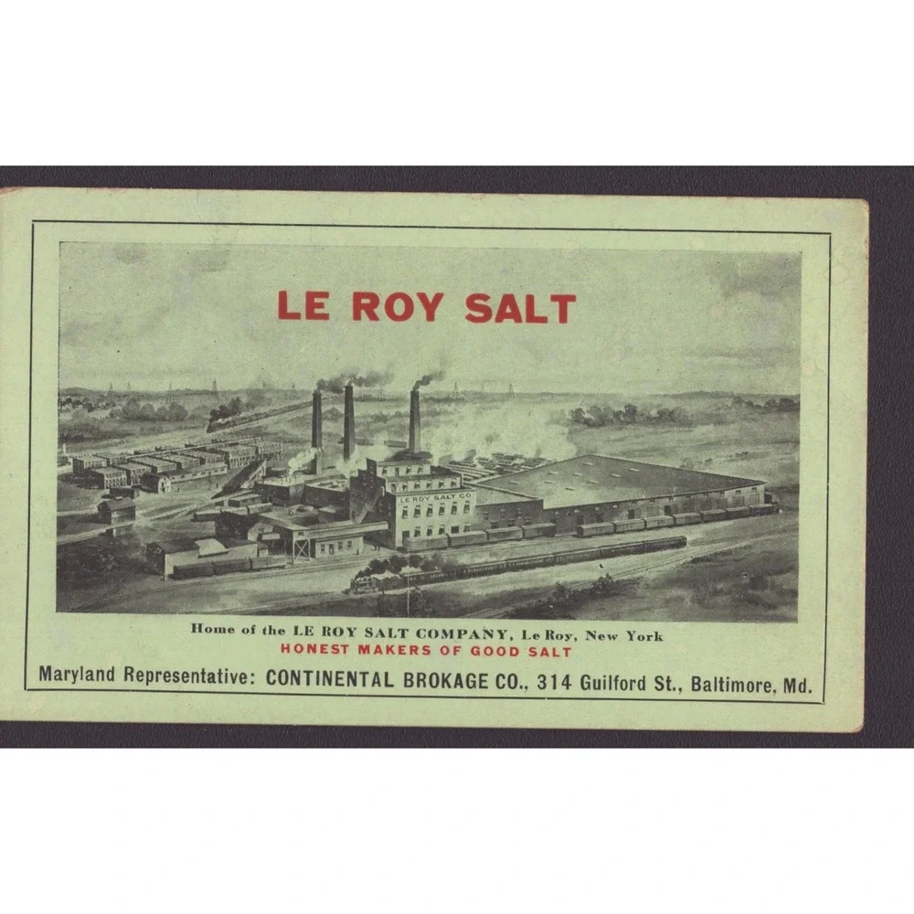 Vintage Ink Blotter Le Roy Salt Company Le Roy NY Factory Train Baltimore MD